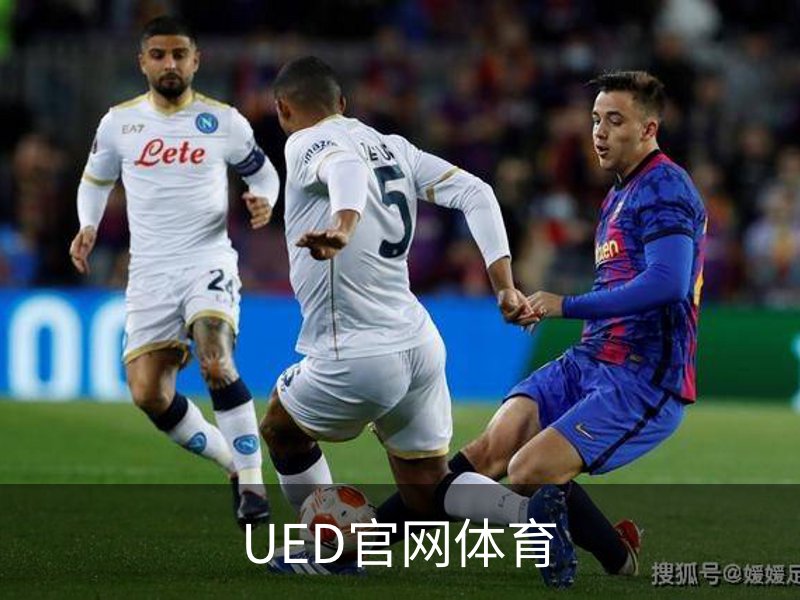 UED官网体育概况